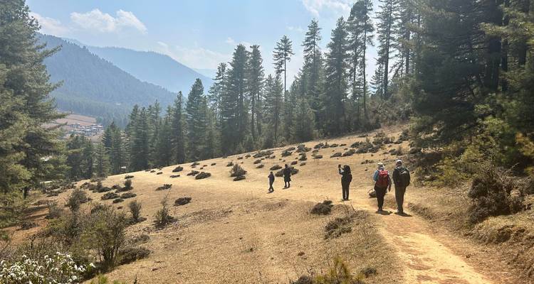Pequeño grupo de excursionistas caminando por un sendero de bosque seco con vistas a las montañas a la distancia.