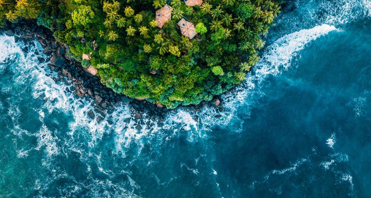 Luchtfoto van een beboste kustlijn met brekende golven.