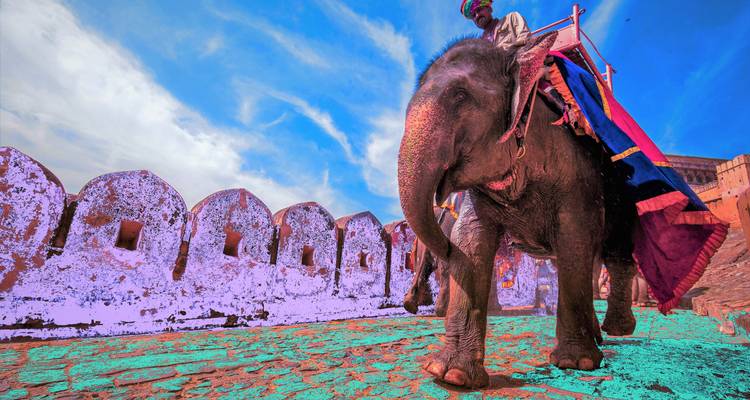 Geschmückter Elefant, der in der Nähe historischer Mauern geritten wird.