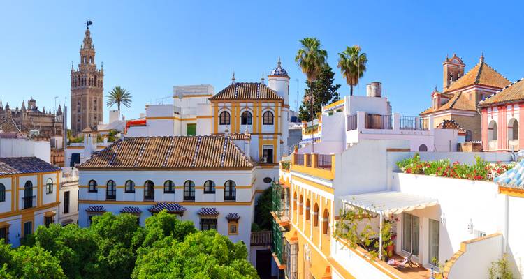 Vista brillante sobre los tejados de Sevilla con la torre de la Giralda y palmeras bajo un cielo azul despejado.