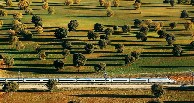 El tren de alta velocidad AVE viaja a través de una llanura española iluminada por el sol, salpicada de árboles espaciados regularmente que proyectan largas sombras.