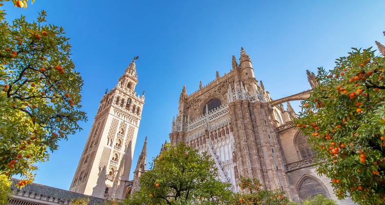 Vista hacia arriba de la Catedral de Sevilla y la torre Giralda enmarcadas por naranjos contra un cielo azul profundo.