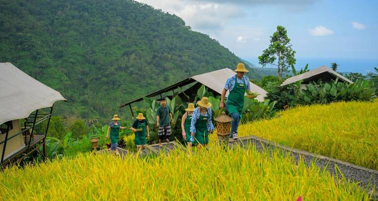 Group of people walking through a terraced rice field.