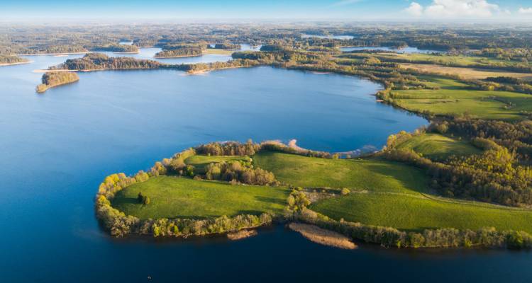 Luftaufnahme eines weitläufigen Sees, der von Grün umgeben ist.