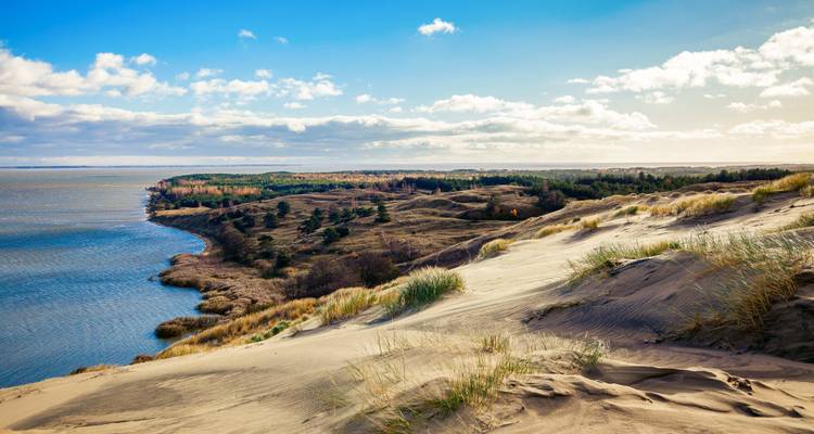 Blick auf einen Sandstrand mit grasbewachsenen Dünen.