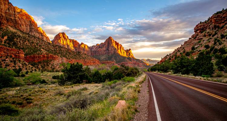 Weg die leidt naar de rode rotswanden van Zion National Park.