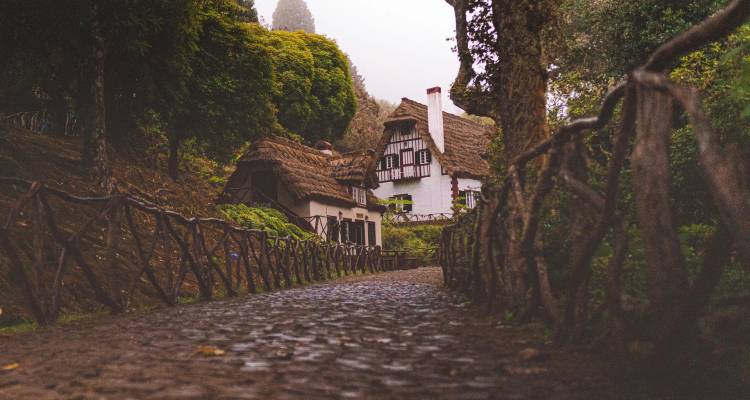 Quaint cottages surrounded by trees and a cobblestone road.