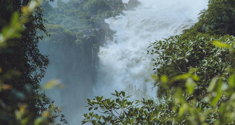 Uitzicht van dichtbij op de Iguazu-watervallen met het omringende bos.