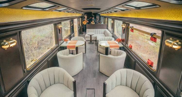 Leeres luxuriöses Zuginnere mit Blick nach draußen.