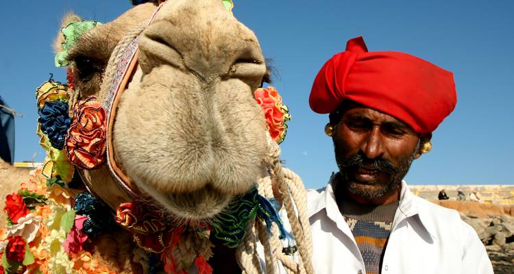 Ein Mann in traditioneller Kleidung mit einem Kamel, das mit bunten Verzierungen geschmückt ist.