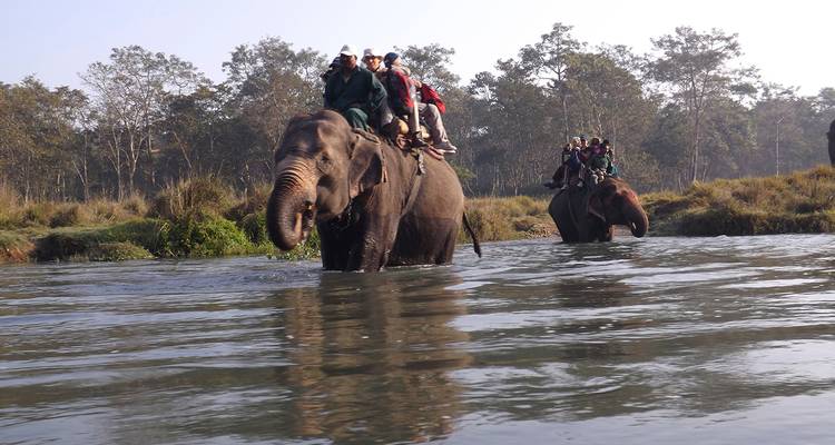 Menschen reiten auf Elefanten durch einen seichten Fluss im Chitwan-Nationalpark.