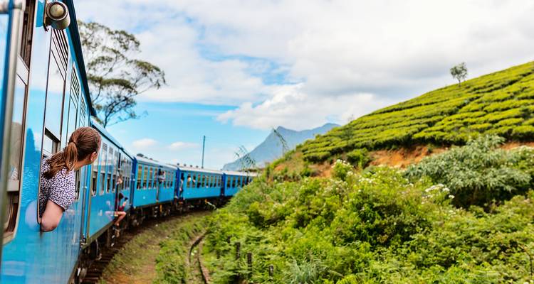 Mensen die in een blauwe trein rijden door een weelderig theeplantage-landschap.