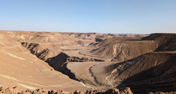 Vasto paisaje de cañón desértico árido que se extiende hacia el horizonte bajo un cielo despejado.