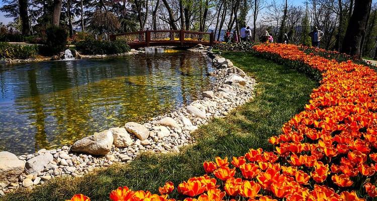 Un jardin magnifiquement aménagé en fleurs avec un étang et une passerelle.