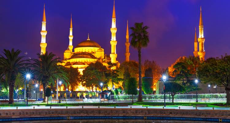 Iconic mosque illuminated at night with a vibrant foreground.
