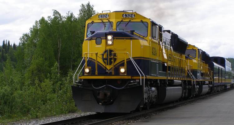 Un tren amarillo brillante en una vía férrea rodeado de bosque.
