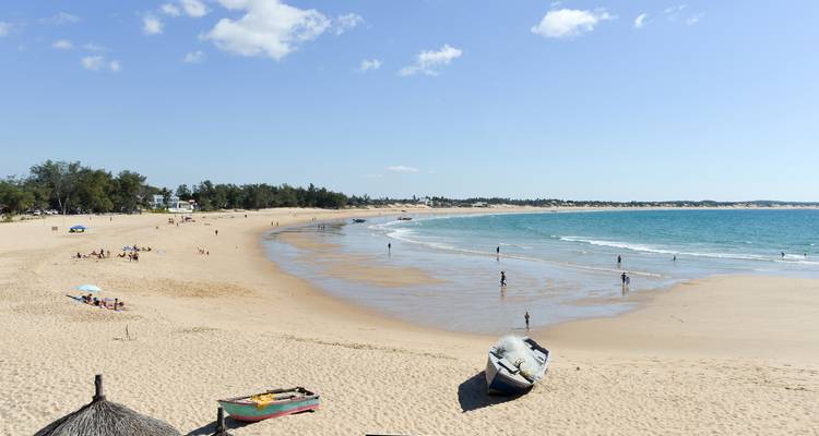 Ein weiter Sandstrand mit vereinzelten Bäumen und Menschen, die das Wasser genießen.
