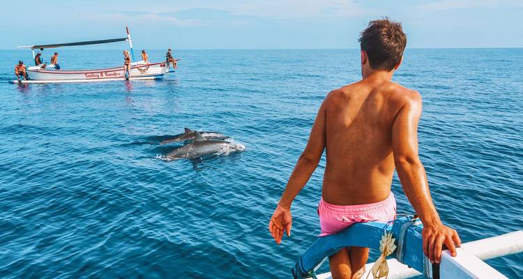 Touristen auf einem kleinen Boot beobachten Delfine, die neben ihnen im klaren blauen Meer vor Bali schwimmen.