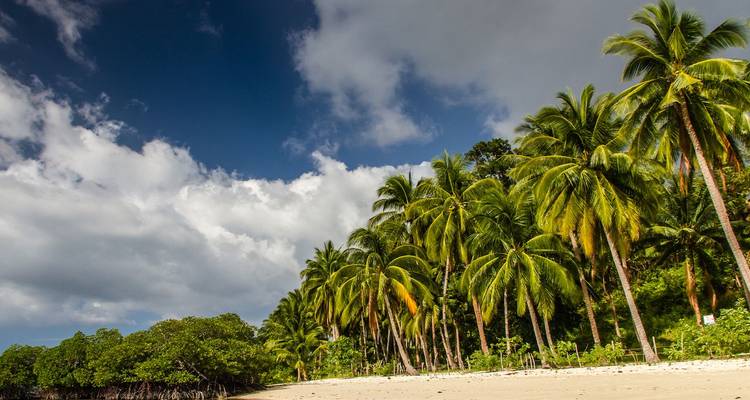 Tropisch zandstrand met palmbomen waar het kalme turkooizen water onder een diepblauwe hemel met verspreide wolken ontmoet.