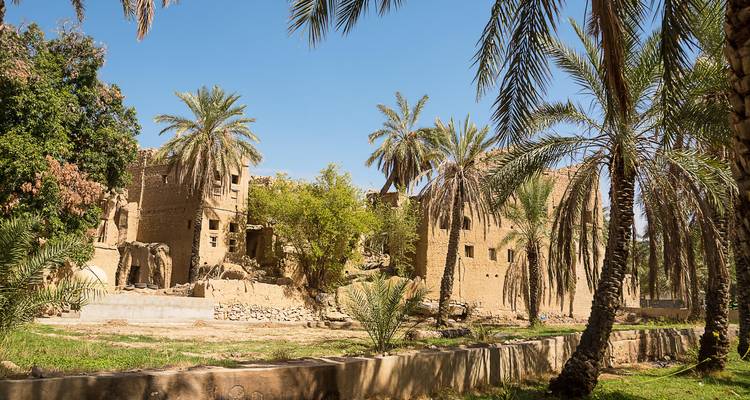 Alte Lehmgebäude umgeben von Palmen.