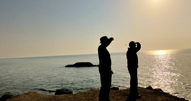 Schattenhafte Reisende, die bei Sonnenuntergang vom felsigen Kliff über das ruhige Meer hinausschauen