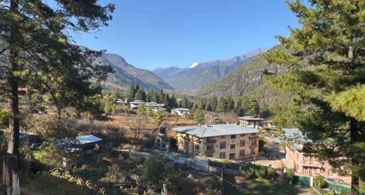 Village tranquille de vallée de montagne encadré par de grands pins avec des sommets lointains.