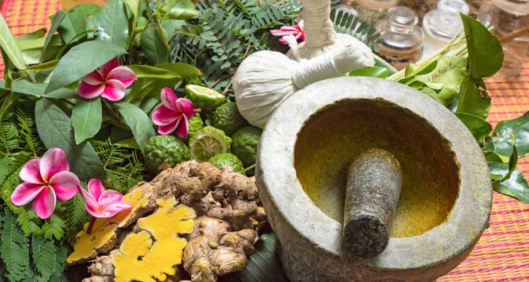 Une collection d'herbes et d'épices avec une pierre à moudre traditionnelle.