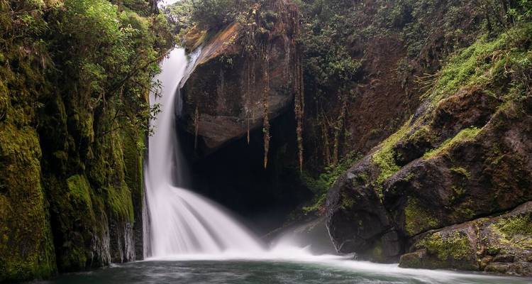 Cascada en un bosque exuberante