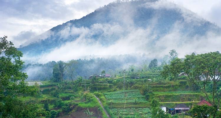La niebla se eleva sobre tierras de cultivo exuberantes y bosques al pie de una montaña cubierta de nubes.