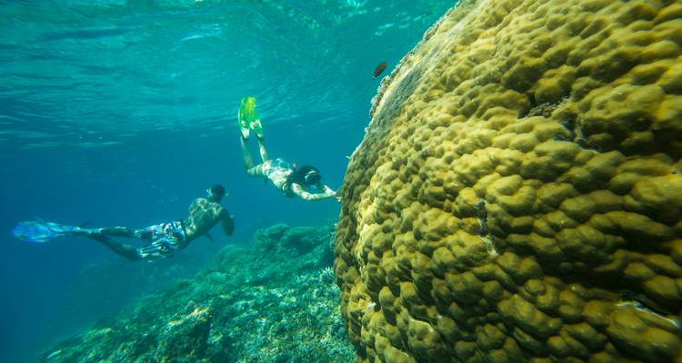 Dos buceadores de superficie exploran arrecifes de coral vibrantes en aguas turquesas cristalinas.