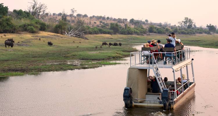 Toeristen op een boot die wilde dieren observeren op een rivier.