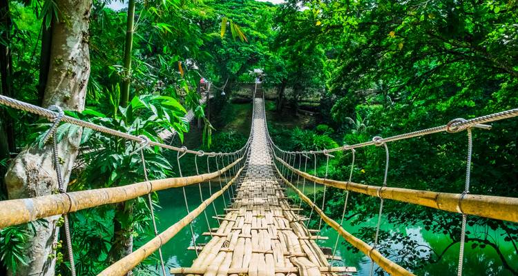 Lange Bambus-Hängebrücke
