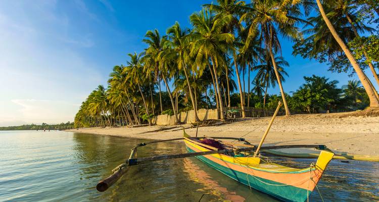 Buntes Boot an einem palmengesäumten Strand