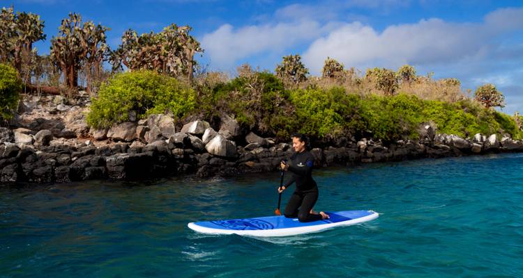 Paddleboarder kneeling on bright blue water with rocky Galapagos shoreline and cactus trees behind