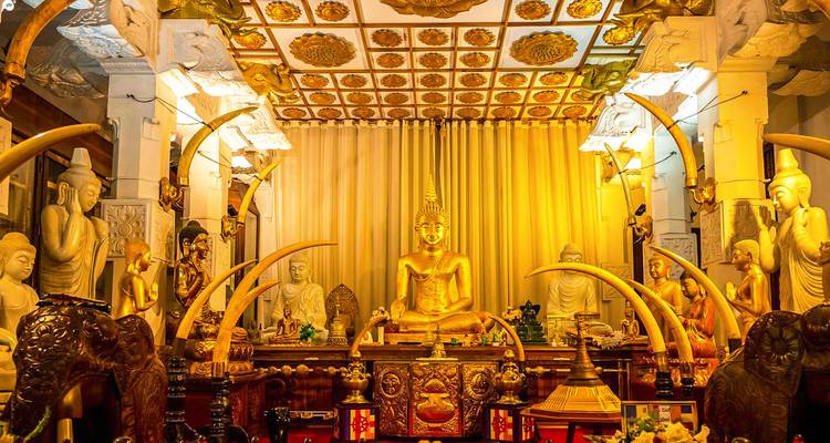 Interior del templo decorado lujosamente con estatuas doradas de Buda y colmillos de elefante curvados bajo una iluminación cálida.