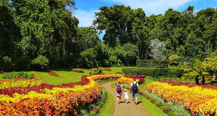 Una familia paseando por un camino sinuoso bordeado de coloridos macizos de flores en un exuberante jardín botánico.