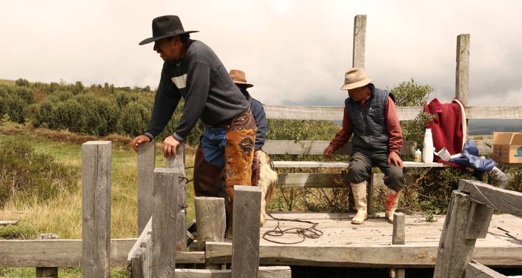 Drei Männer arbeiten auf einer Holzplattform in einer ländlichen Gegend.