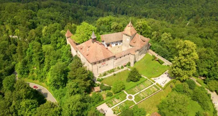 Aerial view of a medieval Swiss castle surrounded by dense green woodland and manicured gardens.
