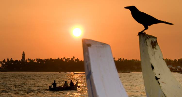 Un pájaro silueteado y unos pescadores a lo lejos disfrutan de una cálida puesta de sol naranja en la costa.