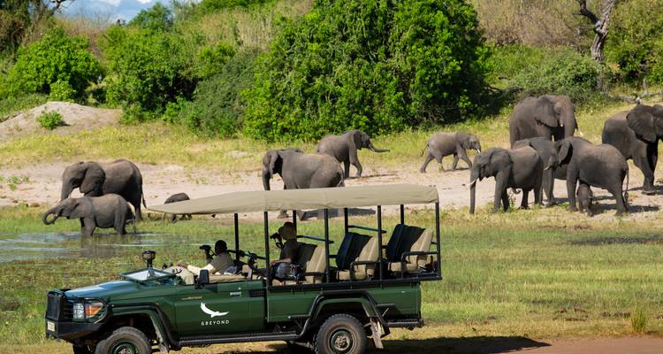 Éléphants et un véhicule de safari près d'un point d'eau.