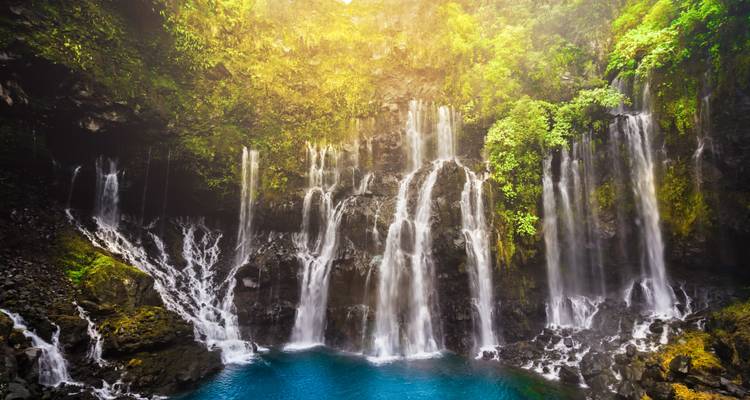 Beautiful waterfall in a lush environment.