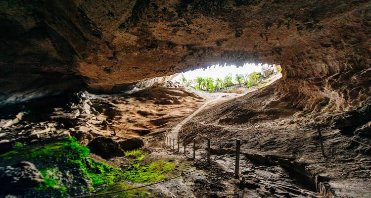 À l'intérieur d'une grande grotte aux parois texturées avec une ouverture donnant sur la lumière du jour et la verdure extérieure.