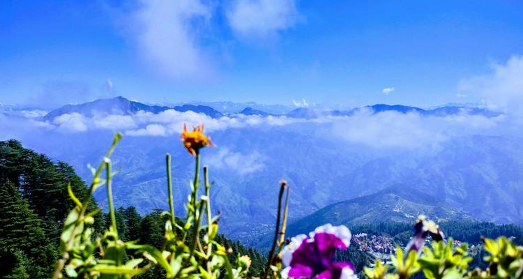 Bergachtig landschap met bloemen op de voorgrond onder een heldere blauwe lucht.