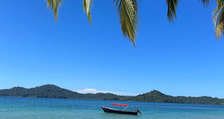 Small motorboat with red canopy drifts on calm blue water beneath drooping palm fronds.