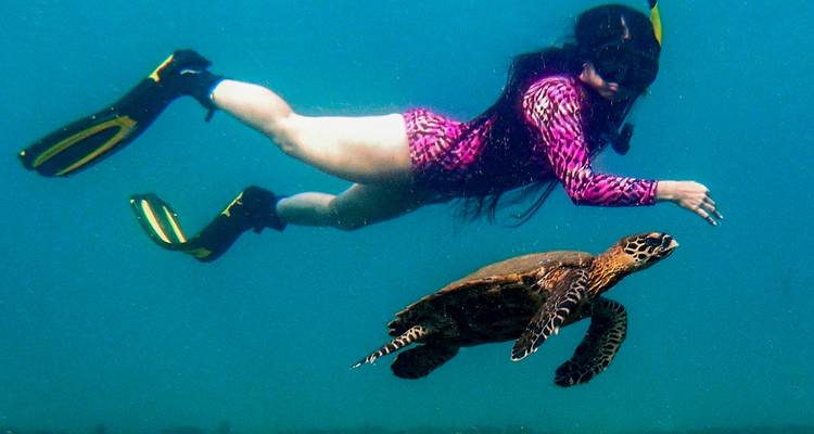 Snorkeller in bright rash guard swims closely beside a curious sea turtle in clear water.