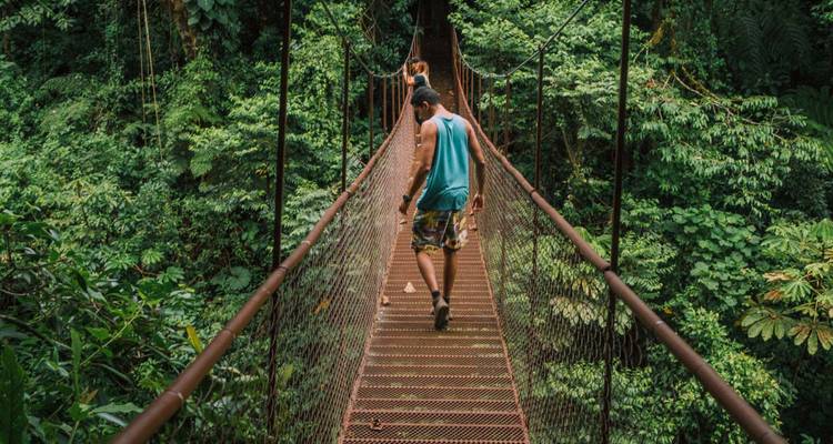 Two hikers crossing a narrow suspension bridge surrounded by dense tropical rainforest vegetation.