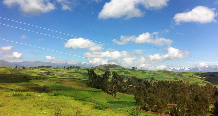 Campagne andine ouverte avec des champs verts ondulants, des eucalyptus et des pics enneigés au loin sous des ciels bleus avec des nuages.