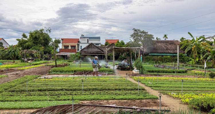 Des agriculteurs locaux arrosant des parcelles de légumes bien ordonnées dans un jardin de village rural.