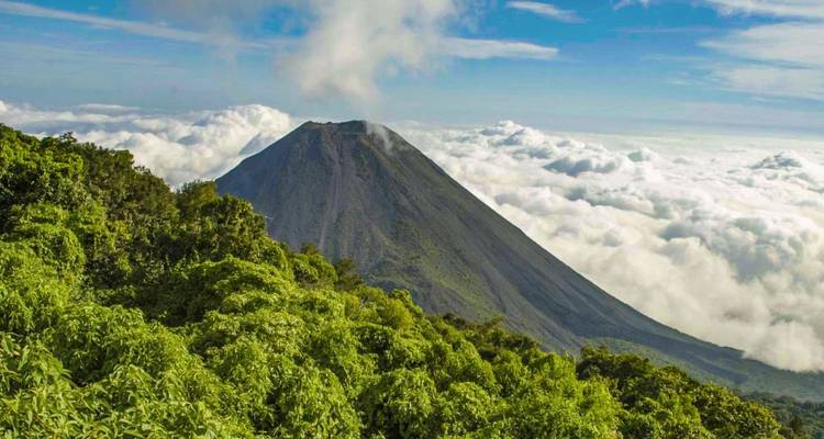 Dramatic conical volcano rising above a sea of clouds with lush green forest in foreground