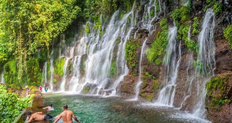 Lush jungle waterfall cascading into a natural pool where visitors swim and relax